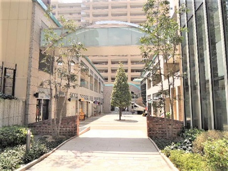 神戸市中央区中山手通の賃貸物件その他写真