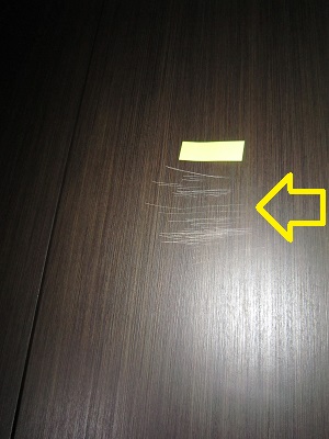 神戸市中央区浜辺通の賃貸物件その他写真