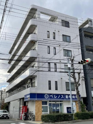 神戸市灘区神ノ木通の賃貸