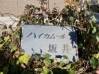 ハイカムール坂井 203｜加古川市野口町坂井（山陽電鉄線別府駅）のアパートその他1