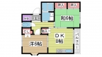 神戸市中央区大日通の賃貸