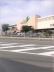 レオネクストグレイス駒ヶ林 202｜神戸市長田区駒ケ林町（神戸市営地下鉄海岸線駒ヶ林駅）のアパートその他6