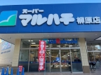 レオネクスト島上　セカンド 101｜神戸市兵庫区島上町（神戸市営地下鉄海岸線中央市場前駅）のマンションその他3