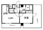 神戸市中央区国香通の賃貸