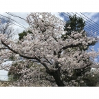 ダイドーメゾン六甲 108｜神戸市灘区篠原本町（阪急神戸線六甲駅）のマンションその他5