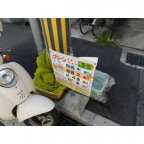 メゾン・ド・アコール 0306｜神戸市東灘区深江南町（阪神本線芦屋駅）のマンションその他7