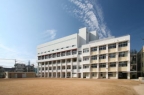 神戸市東灘区深江本町の賃貸