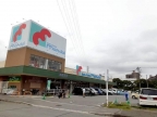 ベイビレッジＩＮＯＵＥ 206｜神戸市西区南別府（ＪＲ山陽本線明石駅）のマンションその他5