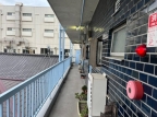 和田宮マンション 203｜神戸市兵庫区和田宮通（ＪＲ和田岬線和田岬駅）のマンションその他7
